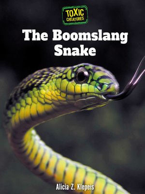 cover image of The Boomslang Snake